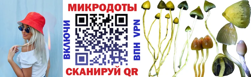 Галлюциногенные грибы Magic Shrooms Сольцы